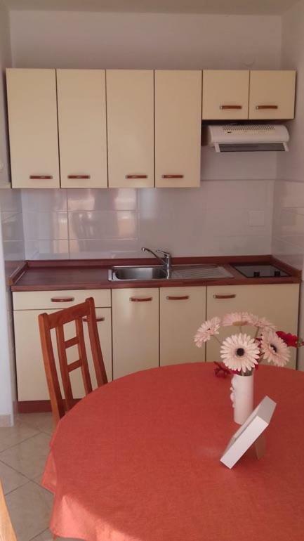Apartment Vucica סביד מראה חיצוני תמונה
