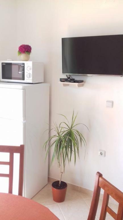 Apartment Vucica סביד מראה חיצוני תמונה